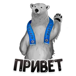 👋 371a6a8e ПРИВЕТ orso polare, saluto, russo, sciarpa, Siberia whatsapp sticker