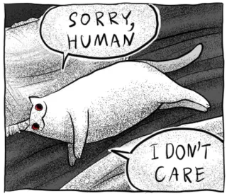 🐱 401ace84 SORRY, HUMAN
I DON'T CARE gatto, divertente, scusa, umano, non mi interessa, meme, animale whatsapp sticker