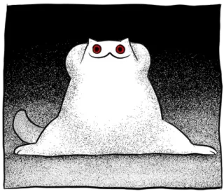 🐱 8205ebb2 gatto, animale, bianco, creatura, peloso, carino whatsapp sticker