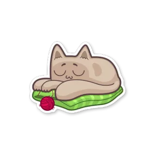 💤 d87b48b0 кот, спит, подушка, пряжа, милый, животное, питомец whatsapp sticker