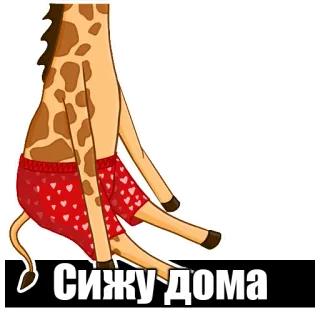 Medialife telegram stickers