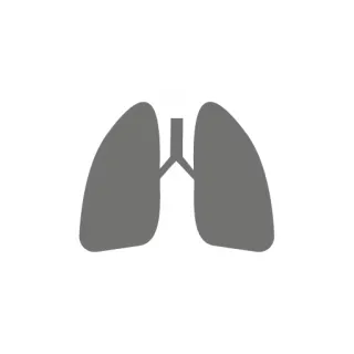 🗣 eb52981c paru-paru, kesehatan, anatomi, organ, medis whatsapp sticker