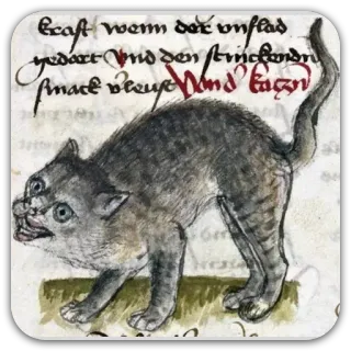 😠 93655786 craft wenn det unfal gedacht wird und den strickenden mache neue Wand Tagen gatto, storico, medievale, testo, animale telegram sticker