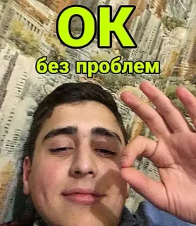 👌 dab4374f OK
без проблем ок, без проблем, жест, мем, лицо telegram sticker