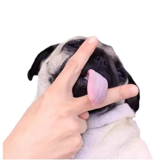 😛 8c3fc779 dog, pug, offensive gesture, hand, tongue whatsapp sticker