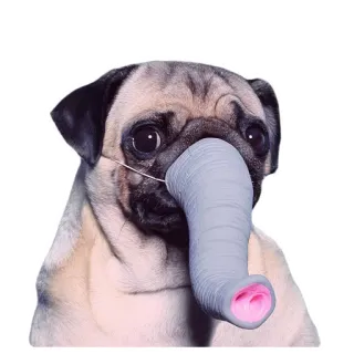 Meet The Pugs ( @Perkovec ) whatsapp stickers