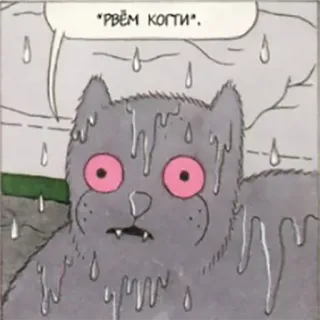 🏃 fe3bf681 рвём когти kucing, komik, rusia, hujan telegram sticker