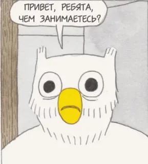 🙄 f978b7ba ПРИВЕТ, РЕБЯТА, ЧЕМ ЗАНИМАЕТЕСЬ? cú mèo, động vật, hoạt hình, chim, tiếng Nga, xin chào telegram sticker