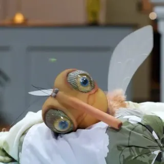 🖱 64d857e6 Mücke, Insekt, Käfer, Tier, Flügel, Augen whatsapp sticker