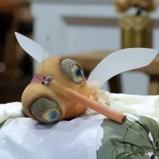 🖱 daaa3556 Mücke, Insekt, Kunst, Puppe, Tier, skurril whatsapp sticker