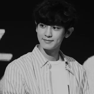 ~ᴄᴏʏᴏᴛᴇ [ @coyote_pcy ] telegram stickers