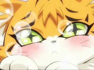 😍 255bbcaa 猫, 动漫, 可爱, 卡哇伊, 泡泡, 毛茸茸, 绿眼睛 telegram sticker