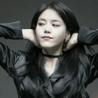 🌸 6abc6d4f telegram sticker