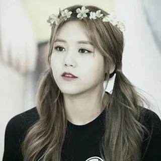 🌝 b68710d1 donna, ritratto, ragazza, corona di fiori, capelli, bella telegram sticker