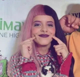 😊 6010251d Melanie Martinez NE HIGH melanie martinez, singer, musician, cry baby, pink hair, black hair telegram sticker