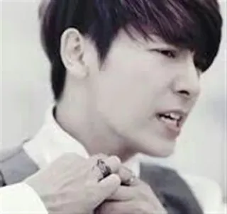 😫 bd918eee telegram sticker