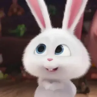 🙃 06147eaa Snowball The Secret Life of Pets coelho, fofo, coelhinho, animal, animal de estimação, desenho animado, branco telegram sticker