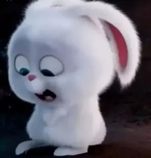 😣 69c90206 Snowball The Secret Life of Pets coelho, fofo, desenho animado, animal, animal de estimação, branco telegram sticker