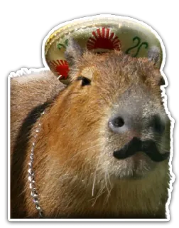 Capivaras telegram stickers