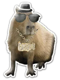 Capivaras telegram stickers