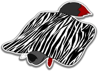🧣 132f93cf motivo zebra, animale, design, illustrazione, peloso whatsapp sticker