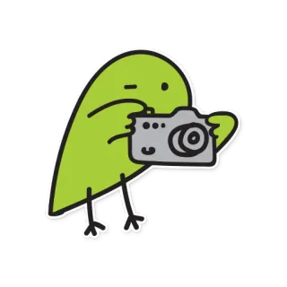 📸 f68f3447 鳥, カメラ, 写真家, 漫画, 緑, イラスト telegram sticker