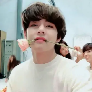 😚 82285b97 บุคคล, ดอกไม้, กุหลาบ, ผู้ชาย, ภาพเหมือน telegram sticker