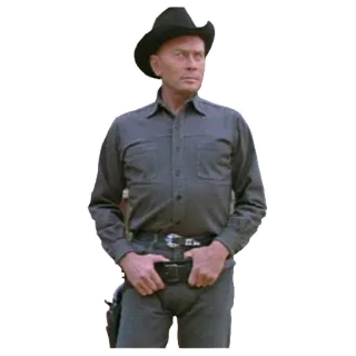 Westworld telegram stickers