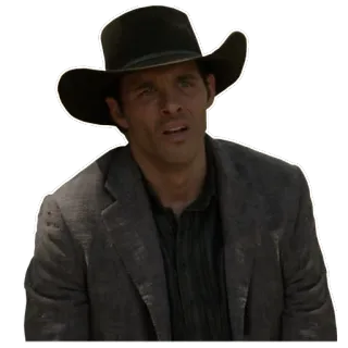 😕 e19096f1 男人, 牛仔, 帽子, 西部, 演员 telegram sticker