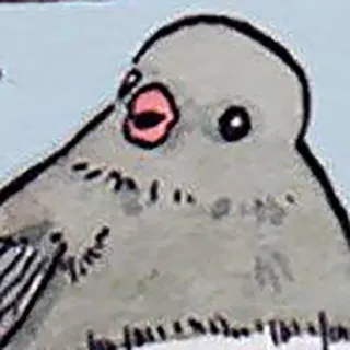 MemeBirds telegram stickers