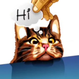 👋 5ec54723 Hi mèo, động vật, thú cưng, lời chào, xin chào, tay, dễ thương, hoạt hình, nhãn dán telegram sticker