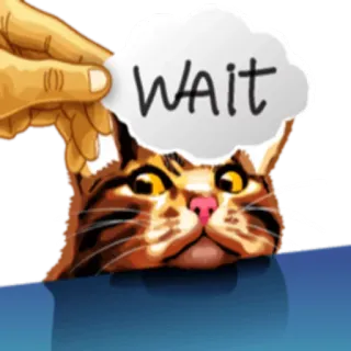 Meme The Cat telegram stickers