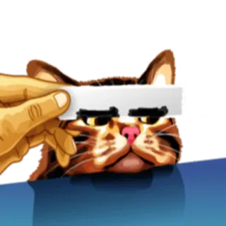 😐 c44684a9 mèo, kính râm, meme, hài hước, động vật, thú cưng, hài telegram sticker