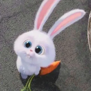 Tuelho 🐰 whatsapp stickers