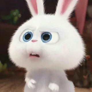 😶 532ac346 Snowball The Secret Life of Pets 토끼, 만화, 동물, 귀여운, 웃긴, 애완동물, 강아지 telegram sticker