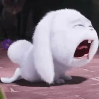 🤬 8d2c6286 토끼, 동물, 귀여운, 바니, 흰 토끼 telegram sticker