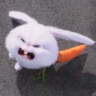 🤬 947c5457 Snowball The Secret Life of Pets 토끼, 만화, 동물, 귀여운, 화난, 당근, 애완 동물 telegram sticker