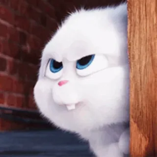 😠 9b8dfdff Snowball The Secret Life of Pets 토끼, 만화, 귀여운, 동물, 애완동물, 폭신한, 보송보송 telegram sticker