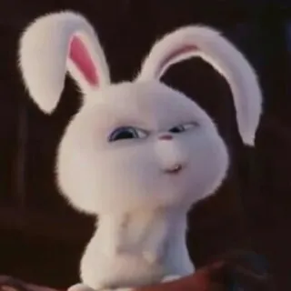 😒 9db300b7 Snowball The Secret Life of Pets 토끼, 만화, 동물, 귀여운, 애완동물, 애완 telegram sticker