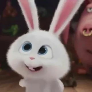 😍 9e3489c9 Snowball The Secret Life of Pets 토끼, 바니, 만화, 동물, 애완동물, 흰색 telegram sticker