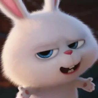 😏 c31715b4 Snowball The Secret Life of Pets 토끼, 동물, 하얀, 귀여운, 웃긴, 만화 telegram sticker