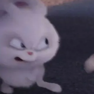 😠 d7237b8c 토끼, 화난, 귀여운, 토끼, 동물 telegram sticker