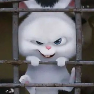 🤤 ff00e22f Snowball The Secret Life of Pets 토끼, 만화, 동물, 애완동물, 귀여운, 악당, 웃긴, 재미있는 telegram sticker
