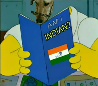 🐕 a88bfbfd Homer Simpson The Simpsons AM I INDIAN? indiano, simpsons, homer, cartone animato, divertente, umorismo, libro, bandiera whatsapp sticker