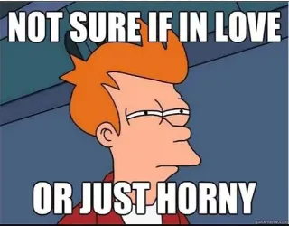😑 e4fcb130 Fry Futurama NOT SURE IF IN LOVE
OR JUST HORNY Meme, Futurama, Fry, Cartoni animati, Divertente, Amore, Arrapato whatsapp sticker