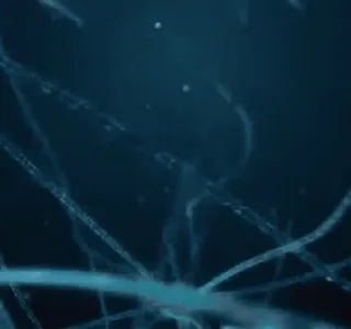 🧠 d3628ad5 whatsapp sticker