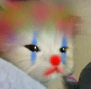 🎥 627a8cb2 gatto, pagliaccio, triste, meme, animale, animale domestico telegram sticker