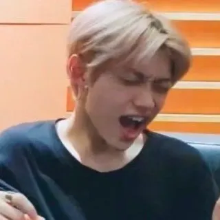 🎤 1ea5f8fd telegram sticker