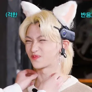 😹 e80d0361 격한반응 lucu, meme, reaksi, imut, telinga kucing telegram sticker