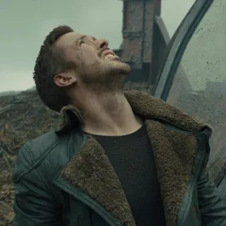 MEME MOTIVATED whatsapp stickers